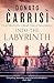 The Man of the Labyrinth