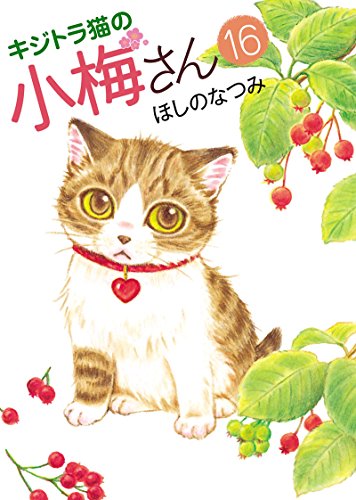 キジトラ猫の小梅さん 16 ねこぱんちコミックス ほしのなつみ マンガ Kindleストア Amazon キジトラ猫の小梅さん 16 ねこぱんちコミックス ほしのなつみ マンガ Kindleストア Amazon