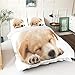 Produktbild 3D Bettbezug Bettwäsche Set, Morbuy Haustier Hund Drucken Bettwäsche-Set Mikrofaser Weiche Bettbezug mit Reißverschluss und Kissenbezüge Für Junge Mädchen (Beiger Welpe,220x240cm)