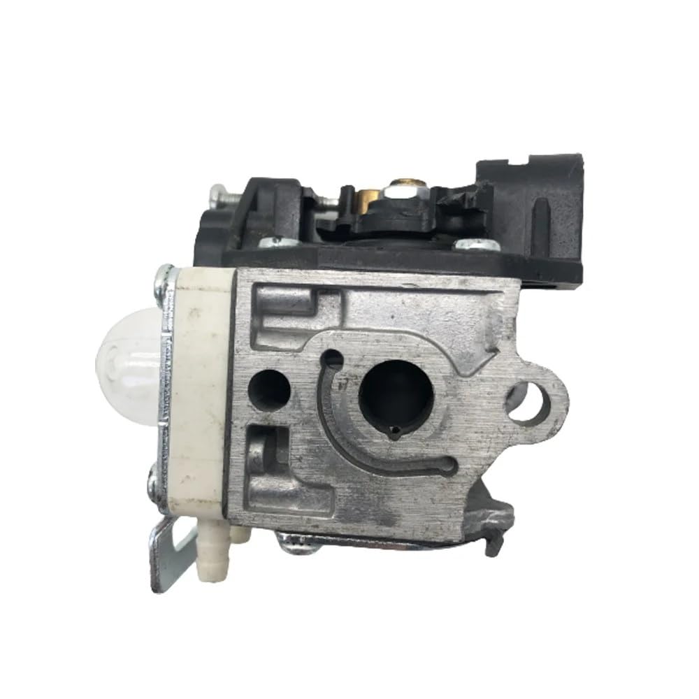Carburateur PB265LN idéal pour l'entretien automnal du jardin et le ramassage des feuilles