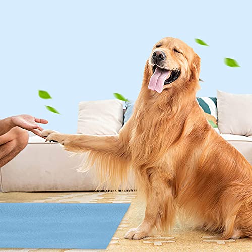 Image of Trance Trance Home Linen Medium Size Pet Sheet / Size - (100cmx70cm) 100% Waterproof with Airflow Technology, Soft, Hypo-Allergenic, Washable Pet Dry Sheet, Potty Trainer, Sky Blue