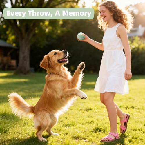 Image of Sunraymascota 24-Pack Tennis Balls for Dogs Fetch Toy for Beginner Practice
