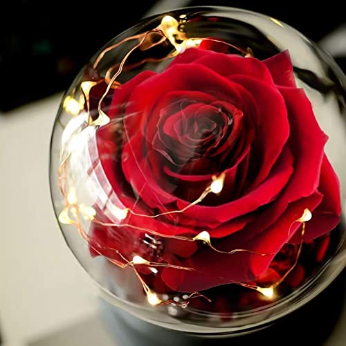 Beauty And The Beast Rose Gift For Women Flower Gifts,Artificial Flower Rose Light Up Rose In A Glass Dome,Women Gifts For Her,Valentines,Anniversary #TOP1