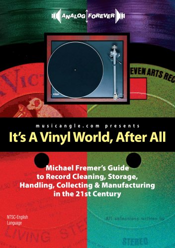 It's a Vinyl World After All image 2