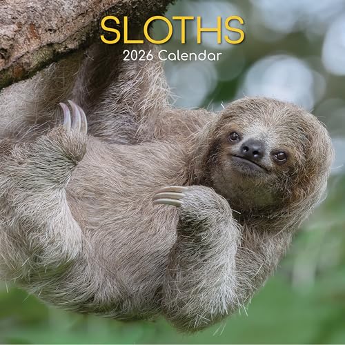 The Gifted̕[2026XNGAǊ|J_[Ai}PmA16̓e[}ɂnMOJ_[A180̃}C_[XebJ[Aԃvi[ANGCeBuXy[XA12x12C`