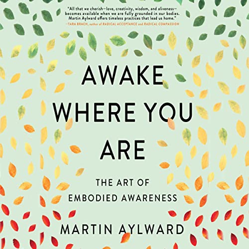 Awake Where You Are by Martin Aylward episode artwork