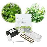 リビングファーム 水耕ミントとレモンバーム 苗作りキット (種子付き) スッキリハーブセット! LFS-096-1