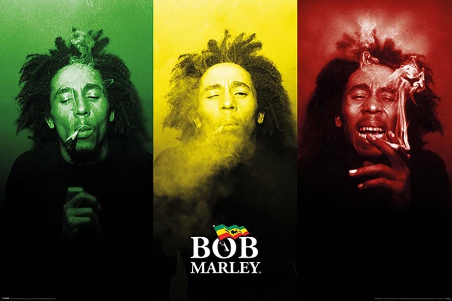  Theissen Bob Marley Poster multicolore - Matte poster Frameless Gift 11 x 17 inch(28cm x 43cm)