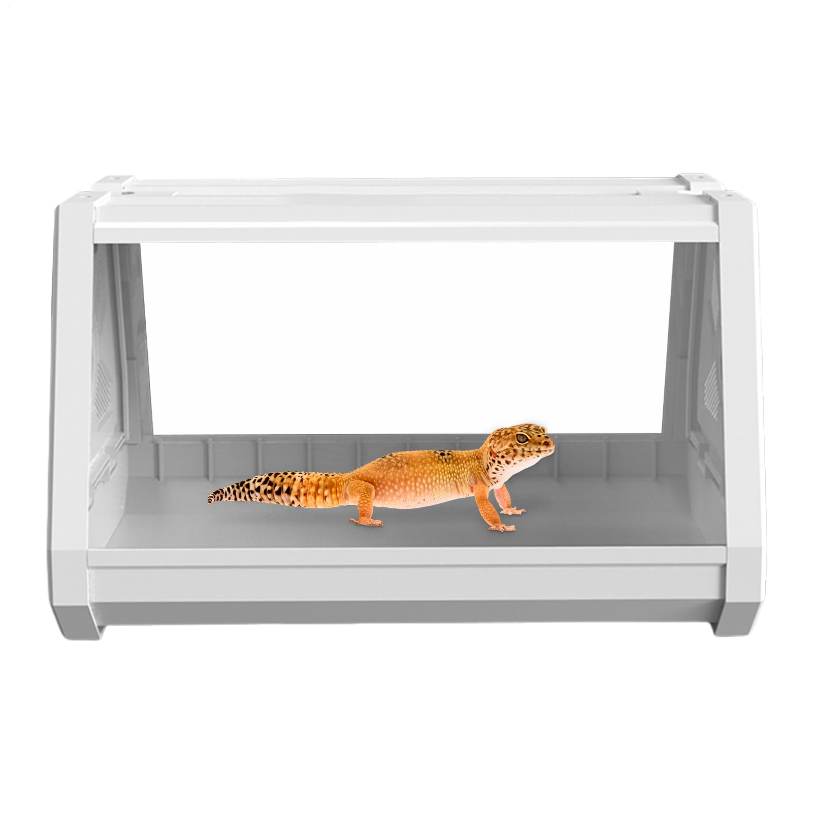 Terrarium dla gadów, terrarium gadów Wielofunkcyjna klatka siedliska dla | Wielofunkcyjne terrarium Gad Habitat na kraby pustelni, węże, rogatne żaby