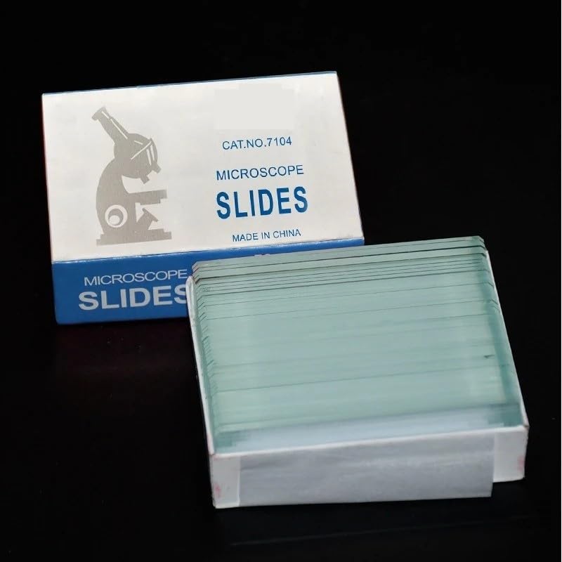 50 Pezzi Vetrini Singoli Concavi for Microscopio Biologico Vuoti Rotondi for Laboratorio Riutilizzabili 1" x 3" (25,4 76,2 mm)