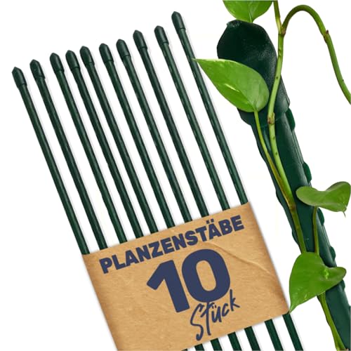 Gravidus Pflanzstäbe Pflanzstab Rankenhilfe Stahl mit Kunststoff Ummantelung Größe120 cm (10 Stück)
