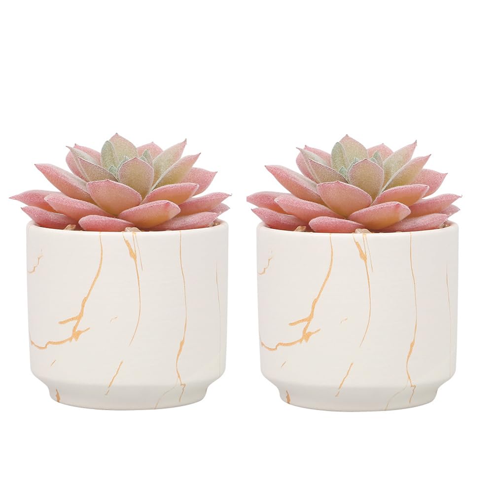 Exrp Artificial Plants and Succulents in 2 White Ceramic Pots,Small Fake Plants for Office and Desk Decor,Bathroom, Bedroom,Shelves