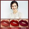 Arlega 10pcs Matte Liquid Lipstick Set, 0.07 oz Full Size Velvety Smooth Full Pigmented and Long Lasting Waterproof Lipgloss for Daily and Party Makeup, Gift for Women (Large, 2g) (chocolate)