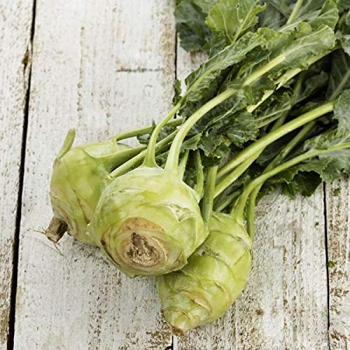 Creative Farmer Vegetable Seeds Kohl Seeds - Kohlrabi ?Seeds Seeds For Farming Home Garden Seeds