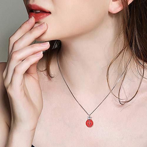 Ladybug Locket Necklace That Holds Pictures 925 Sterling Silver Ladybug Necklace Jewelry Gifts for Women Mother Birthday4