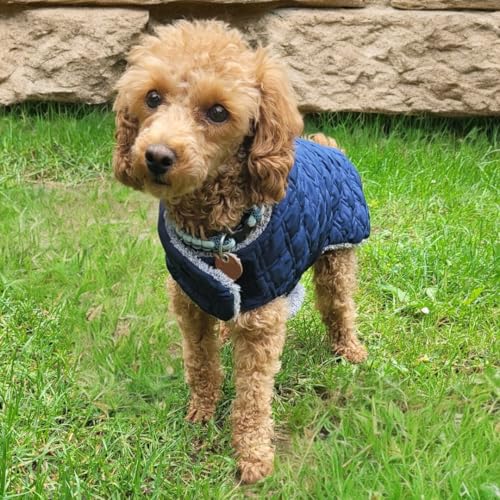 Papierschnittmuster Allwettermantel Hunde