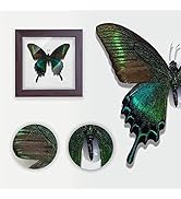 Small manufacture image 9