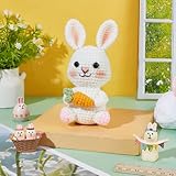 ACRNIGHEET 2 PCS Easter Bunny Crochet Kits for Beginners Adults Knitting Practice Crochet Starter Kits with Step-by-Step Video Tutorials Easter Gifts Cute Rabbit Holds a Carrot