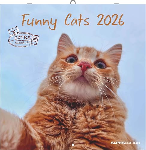 Alpha Edition - Funny Cats Kalender 2026 Wandkalender 30x30 cm Lustiger Katzenkalender für Katzenliebhaber 12 witzige Katzenfotografien viel Platz für Notizen mit Feiertagen & Ferienterminen