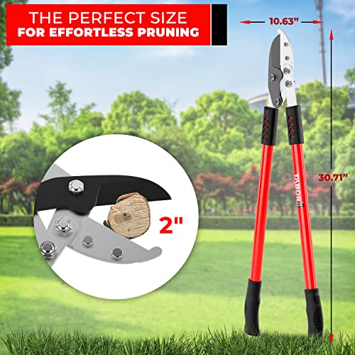 TABOR TOOLS GG12A Tijera de poda anvil 30 pulgadas miniatura 4