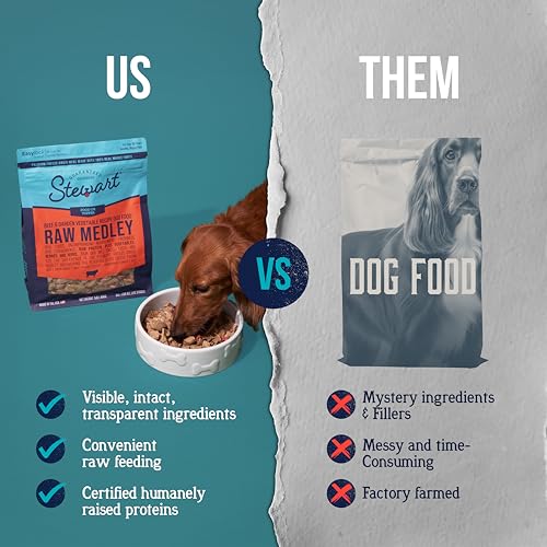 Stewart Raw Medley Freeze Dried Raw Dog Food or Meal Topper, Beef & Garden Vegetable Recipe, 1 Pound Bag, Made with Real Whole Foods - Thumbnail 3