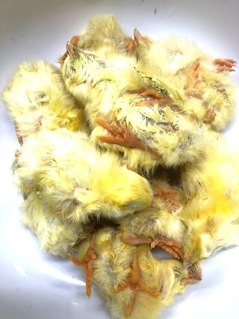 Amazon | 冷凍国産ひよこ 10羽入り（約400g） 【クール便】※猛禽類