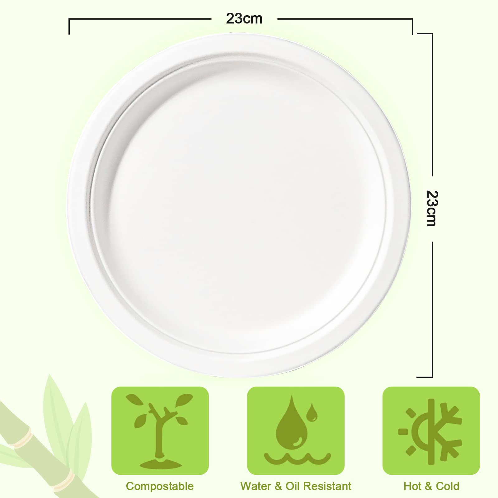 Lot de 150 assiettes jetables en carton blanc 26 cm biodégradables