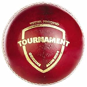 SG Tournament Leather Ball, Pack of 12
