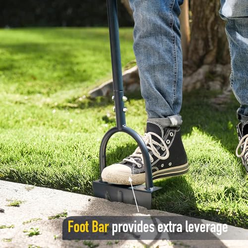Colwelt Saw-Tooth T-Grip Edger
