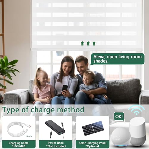 Image of Motorized Zebra Blinds Custom Size Smart Dual Layer Shades for Windows with Remote | Assembled in USA | Electric Day and Night Privacy Light Filtering Rechargeable Quiet Motor Window Shades