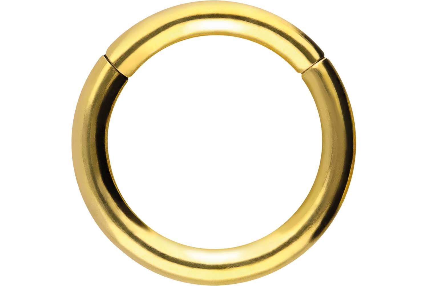 PIERCINGLINE Anillo segmento Clicker de acero quirúrgico – Piercing en oro, plata, rosa, negro o azul – para nariz, tabique, oreja, hélice o tragus — view 128