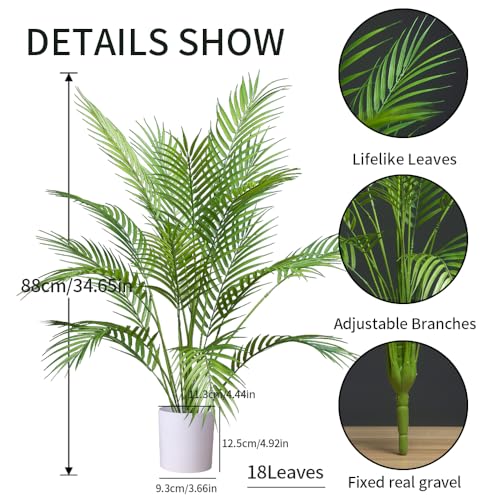 Consejos y comparativas para Comprar Palmera canaria que Puedes comprar On-line. 11 Imagen adicional