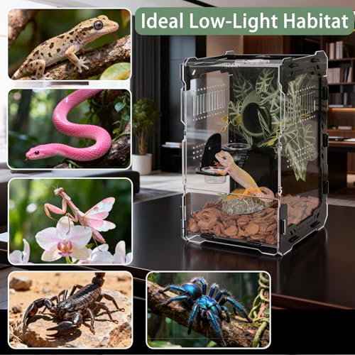 Image of Jumping Spider Enclosure - 3mm Black Transparent Acrylic Terrarium for Tarantulas, Mantises & Frogs, 11.8x5.9x5.9 Inch Mechanical Frame Habitat with Magnetic Feeding Hole & Rotating Lock