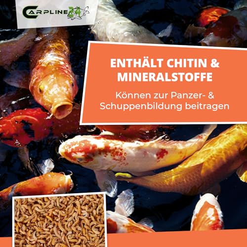 Bachflohkrebse Gammarus 2000ml - Getrocknete Insekten als Futter für Schildkröten, Axolotl, Vögel & Nager, Fischfutter für Aquarium & Teich – Bild 6