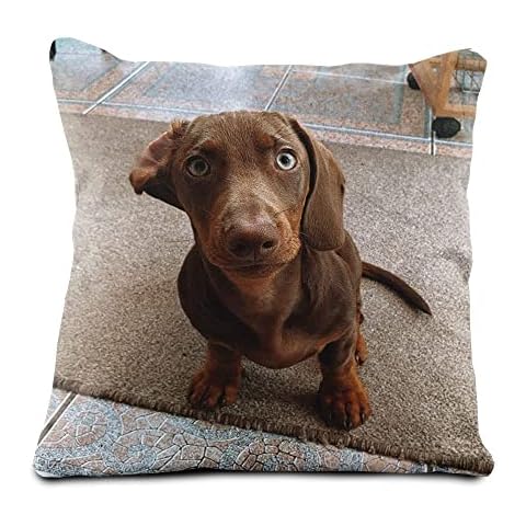 rucomfy Personalised Photo Cushion 16" Cover