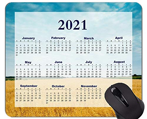 2021J_[}EXpbhQ[~O}EXpbhASky Field Agriculture Cornfield}EXpbh