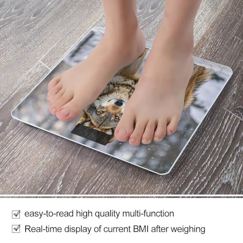 Báscula digital de baño con vidrio templado Wolf miniatura 5