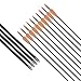 Elong Fiberglass Arrows Archery 26 Inch Target Shooting Practice Safetyglass Recurve Bows Suitable for Youth Children Woman Beginner (6 pcs)