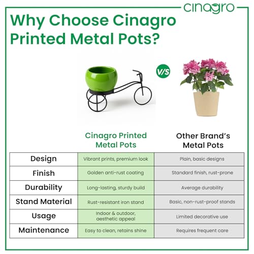 Image of CINAGRO Cycle-Shaped Metal Plant Stand for Indoor & Outdoor Use, Metal Cycle Flower Vase, Decorative Iron Planter Pot Holder for Flowers & Ornaments (18 x 8 x 8cm) Style: Urban Pedal, Small