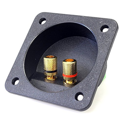 Oikabio DIY Stereo Vite Connettori per Subwoofer