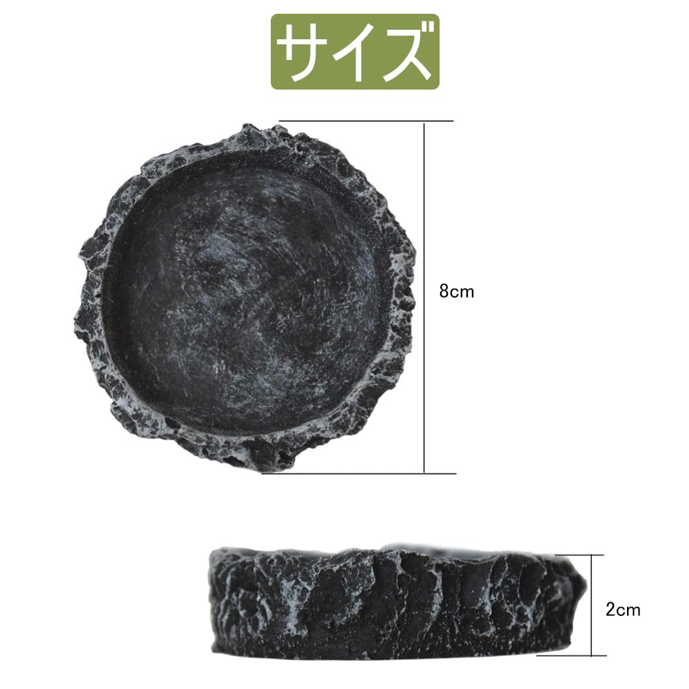 Amazon | 爬虫類 水入れ 8*8*2cm 爬虫類 餌入れ 樹脂爬虫類水皿