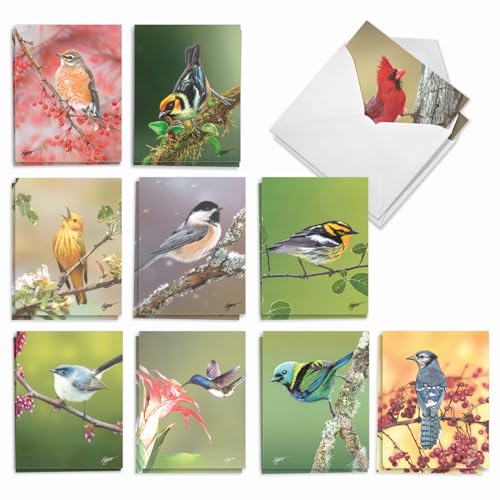 Lot de 20 cartes Bird Beauties AM9616OCB-B2x10 pour écrire