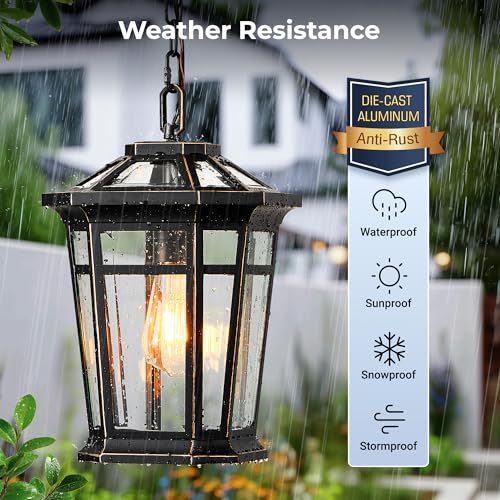 Image of VIANIS Large Outdoor Pendant Light with Adjustable Chain, Black(Gold Trim)