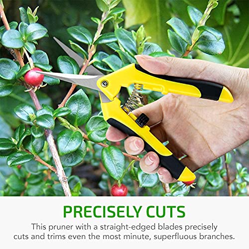 Tijeras de jardinería iPower 6.5 pulgadas 10 unidades miniatura 6