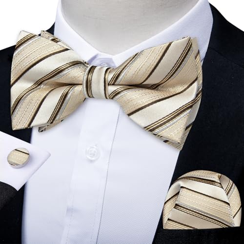 Image of DiBanGu Paisley Pre-Tied Bow Ties for Men Silk Adjustable Bowtie and Pocket Square Cufflinks for Wedding Party