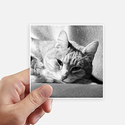 Autocollant carré chat gris 10cm haute définition pour mur - 2