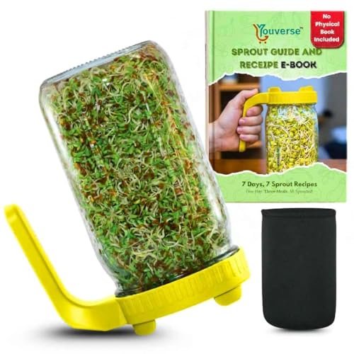 Image of Sprouts Maker Glass Jar - 950ml Large Sprouts Maker Jar for Home Use | BPA-Free Sprouting Jar with Drain Lid Handle | Airflow, Odor-Free, Easy Drainage, and Hygienic Glass Design (Yellow)