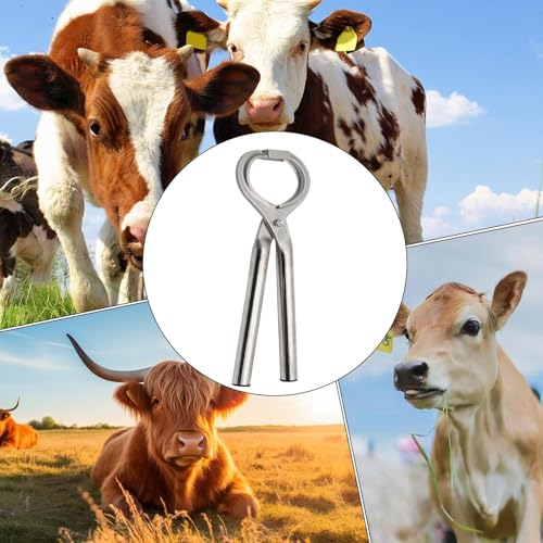 Pinces nasales pour bovins de gestion d'élevage - 5