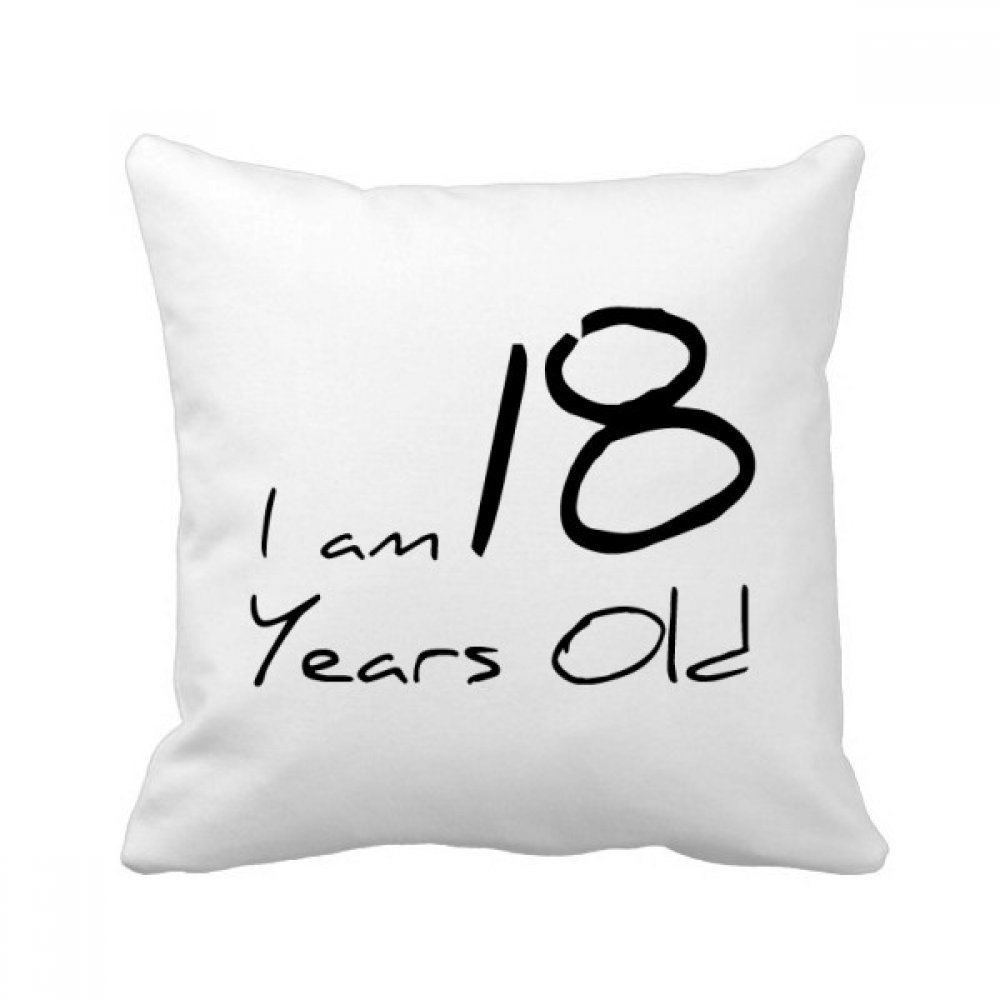 Coussin de insert cover 40 X 40 cm pour décorer un studio de jeune adulte de 21 ans