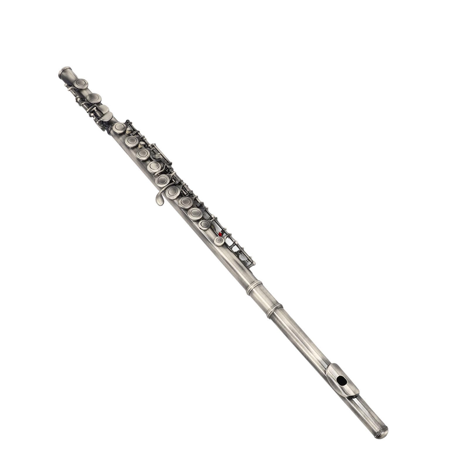 Eujgoov Flauta C de 16 Teclas, Material de Cuproníquel, Ideal para Estudiantes y Principiantes, Excelente Rendimiento para Práctica y Grabación Musical (Azul verdoso antiguo)